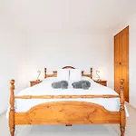 Finca Sant Blai Nou