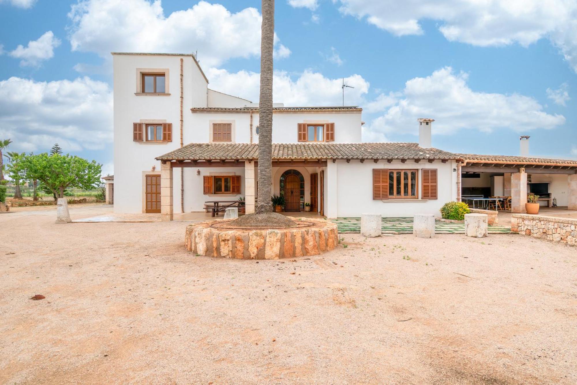 Sant Blai Nou * Campos (Mallorca)