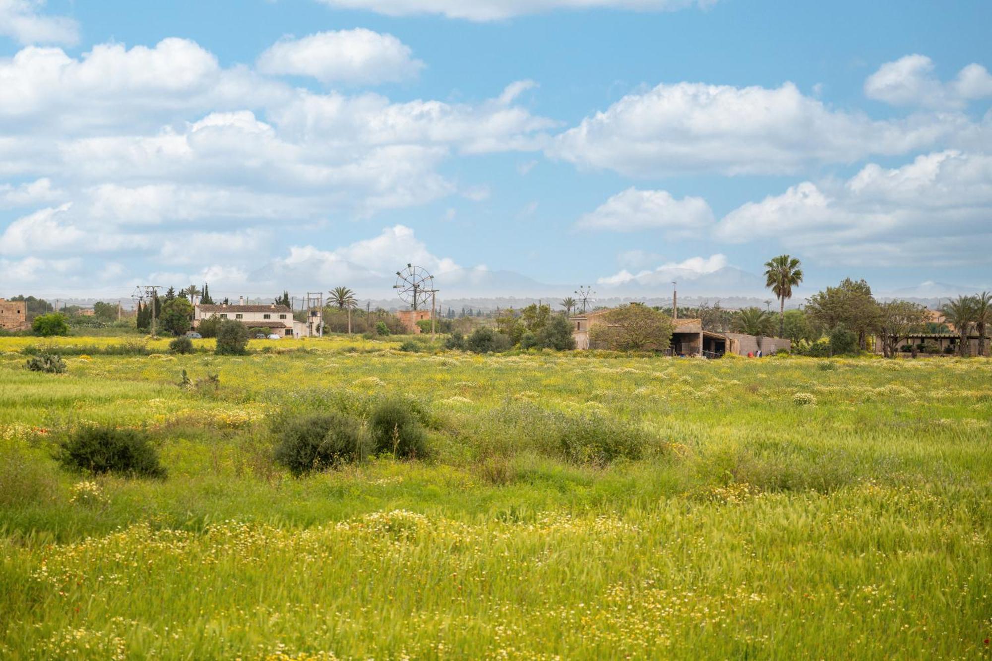 Ferienhaus Sant Blai Nou Campos (Mallorca)